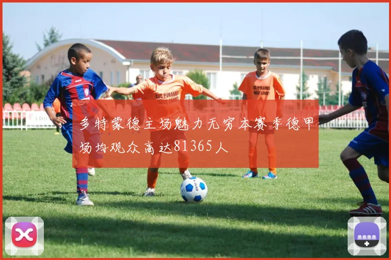 多特蒙德主场魅力无穷本赛季德甲场均观众高达81365人